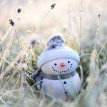 小事 · 幸福的婚姻是什么样的？