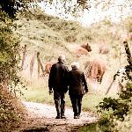 小事 · “因为，她只记得我啊。”