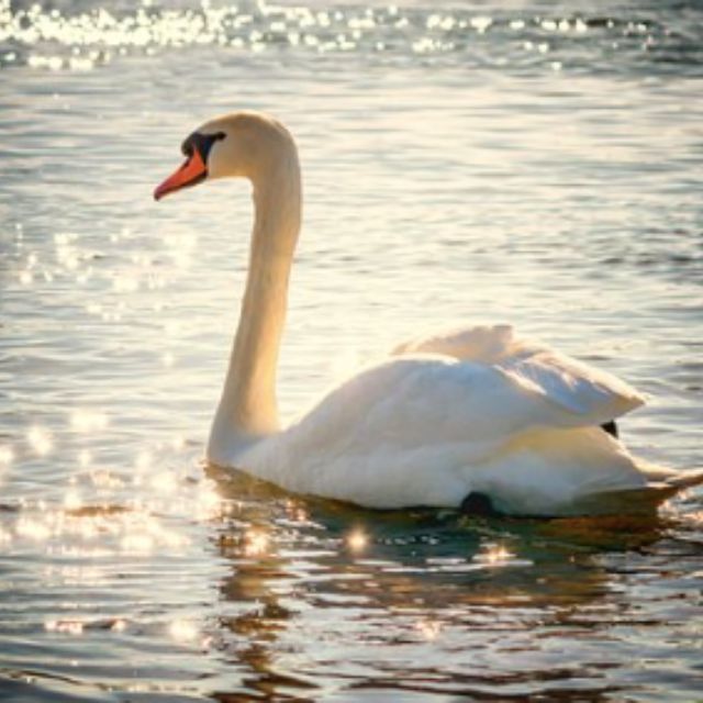 瞎扯 · 如何正确地吐槽