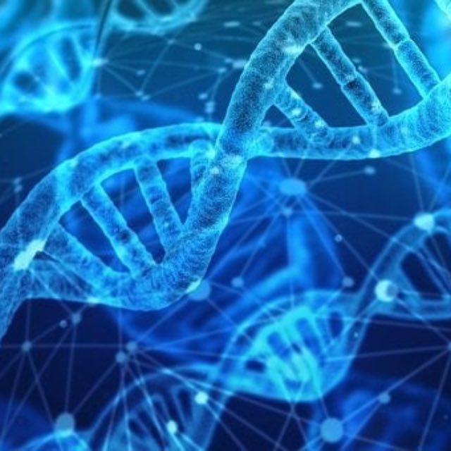 为什么作为遗传物质的 dna 都是双链的？