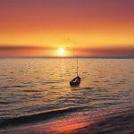 黄河每天将鱼冲入大海，淡水鱼在海中无法生存活，这些鱼去哪里了？