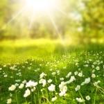 个人如何实现感受到光速的缓慢?