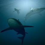 为什么海洋里没有出现巨大的生物，比如体长超过 1km、10km 的巨型生物？有什么生物规则吗？