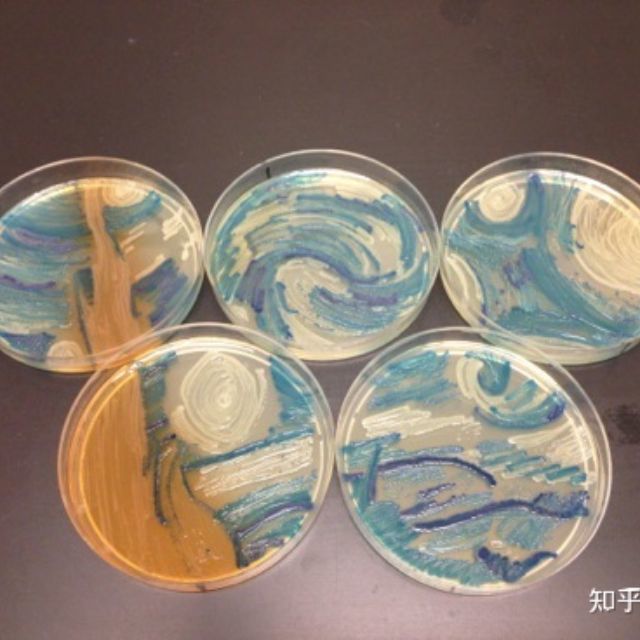 孩子看到细菌画问「细菌是怎么画画的」，该如何解释？