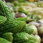 苦瓜这个物种为什么没有被大自然淘汰？