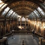 各地博物馆的镇馆之宝有哪些？