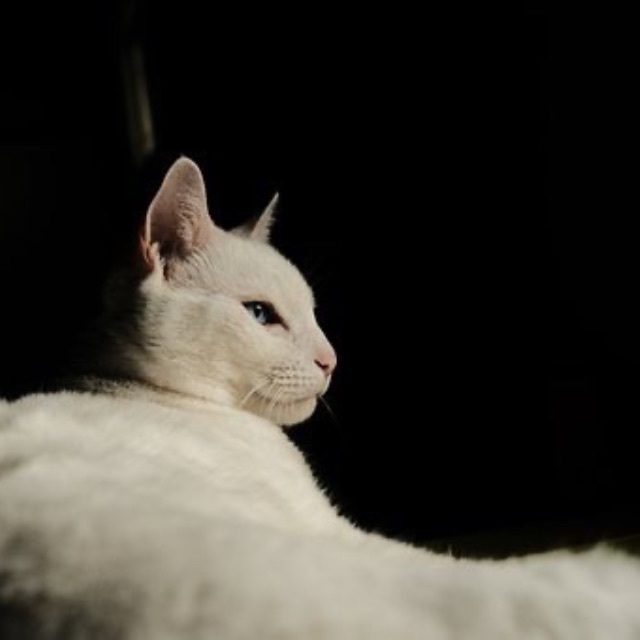 在繁忙的生活中,有哪些让你觉得温馨的事情或体验？