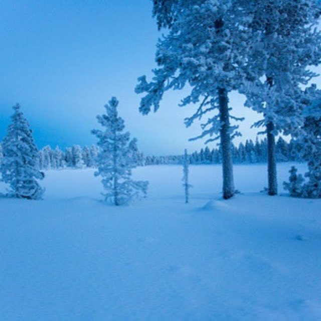 极地及北欧等高纬度地区的极夜会对人的生理和心理造成哪些影响？