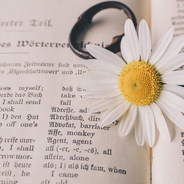 你见过哪些错误或者不太恰当的翻译？