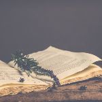 近几十年有哪些重大科学发现甚至于修正了教材？