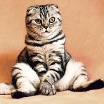 瞎扯 · 如何正确地吐槽