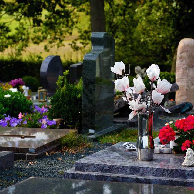 如果我的遗体捐献解剖，使用完毕后会被火化还是把我扔在垃圾桶里? 