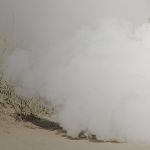 南朝还有荆扬之争吗，荆扬之争什么时候退出历史的？