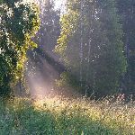 为什么有的人喜欢阳光，每次有阳光的时候就会感到心情好，舒畅 ， 就好像没有了任何烦恼，很开心？