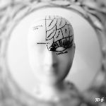 为什么吃东西时会感觉第一口最好吃？