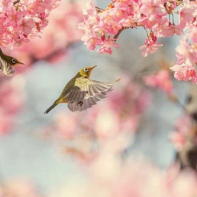 瞎扯 · 如何正确地吐槽