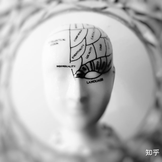 为什么吃东西时会感觉第一口最好吃?