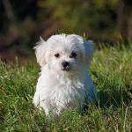 瞎扯 · 如何正确地吐槽