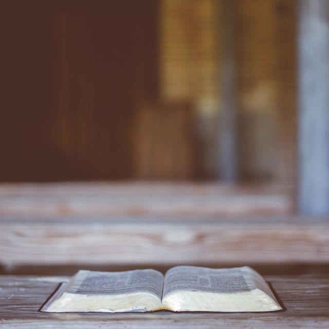 如果文学带来敏锐的痛苦，我们还应该继续吗？