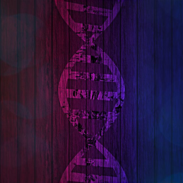 日本隼鸟2号带回样本中发现氨基酸，为首次在地球外确认其存在，这意味着什么？